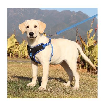 China Premium Cute Lovely Buckle Stocked Escape Proof Walking Dog Invest No Pull Pet Harness for sale