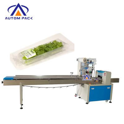 China Automatic Food Fruit And Vegetable Packing Machine By Horizontal Packing Machine for sale