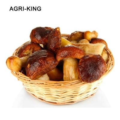 China FROZEN iqf boletus FROZEN edulis for sale