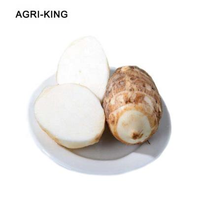 China FROZEN peeled frozen iqf taro ball for sale