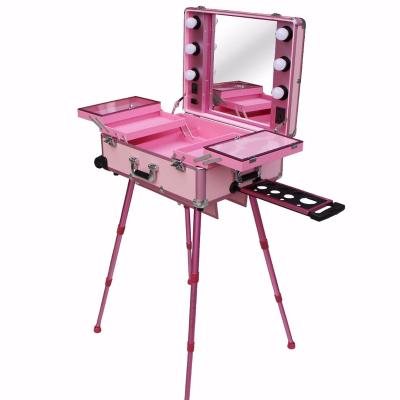 China Big Capacity Studio Pink Rolling Makeup Artist Train Case With Lightweight Cosmetic Case for sale