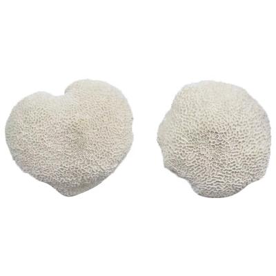 China Creative White Coral Resin Crafts Custom Wholesale Home Decoration From Europe Factory for sale