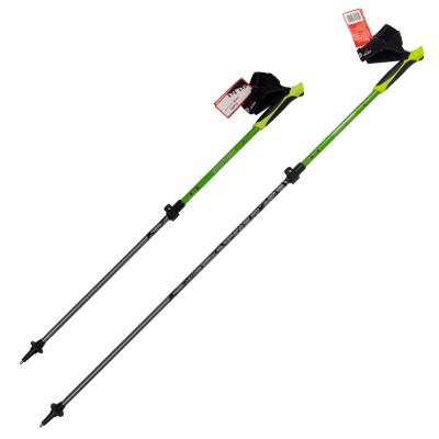 China For Nordic Walking 20 Years Experience Lightweight Aluminum Flip Lock Clip On Strap Nordic Walking Poles for sale