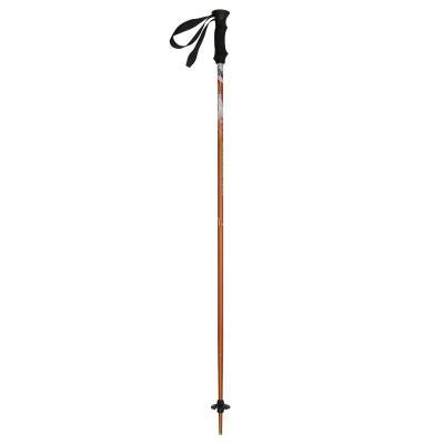 China Lightweight EVA Alpine Ski Poles 7075 Grip for sale