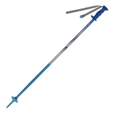 China 6061 Plastic Aluminum One-section Alpine Ski Pole for sale