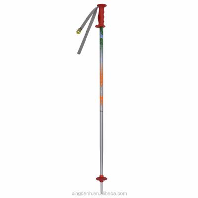 China Professional Aluminum Ski Pole Rubber Alpine Ski 6061 for sale