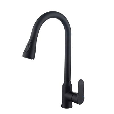 China Luxury Black Cold Water Metered Kitchen Sink Faucet Kitchen Commercial Faucet Faucet Faucets for sale