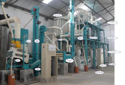 China Wheat Flour Milling Machine Process Soft Wheat, Durum Wheat, Durum Wheat 300-350kg/h for sale