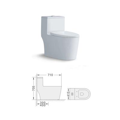 China Modern Luxury Hotel Bathroom Ceramic Double-Flow Design Floor Standing One Piece Toilet 8008 for sale