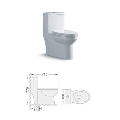 China Modern and Stylish Double-Flow Siphonic Flush Floor-to-Ceiling Ceramic White Toilet 8401 for sale