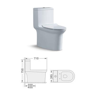 China Hot Selling Type 300mm Double-Flow Siphon Floor Standing Toilet 8404 for sale