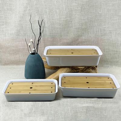 China Creative Artistic Salmon Seafood Sushi Restaurant Hotel Dish Round Dry Ice Japanese Style Design Stocked Plastic Tray for sale