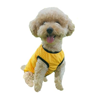 China Puppy menstrual pants high elastic hole-thin yellow viable anti-harassment pants for sale