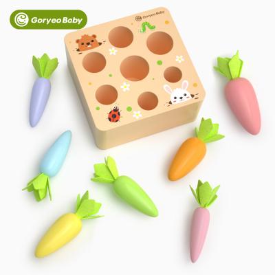 China Safe High Quality Wooden Colorful Carrot Pulling Radish Toy To Develop Intellectual Resource Recognition Kids Early Educational Toy for sale