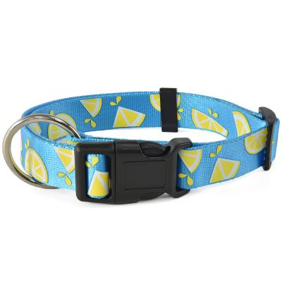 China OEM Custom Luxury Personalized Lemon Logo Adjustable Pet Blank Leash Blue Nylon Dog Collar for sale