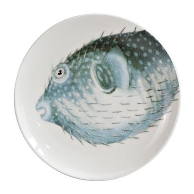 China Creative Ceramic Dish Factory Creative Ceramic Dinner Dish Disc Dish Bowl Household Dish Dinner Series Ocean Kitchen Hot Sales for sale