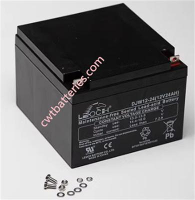Cina OEM LEOCH DJM12-24 VRLA Batterie AGM Tecnologia 12V 24AH in vendita