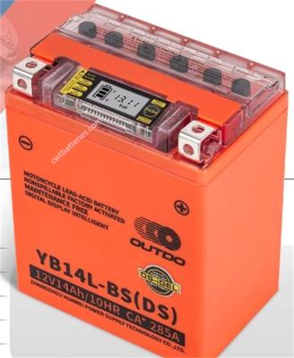 중국 재충전 가능한 납 산성 제트 스키 배터리 외관 YB14L-BS DS 12V 14Ah 판매용