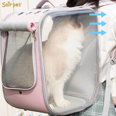 China Breathable Basket Cat Dog Bicycle Pet Carriers Dog Basket Travel Bag With Pet Carrier Pet Backpack for sale