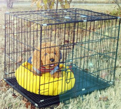 China Wholesale Breathable Cat Cage Foldable Metal Pet Dog Cage Cage for sale