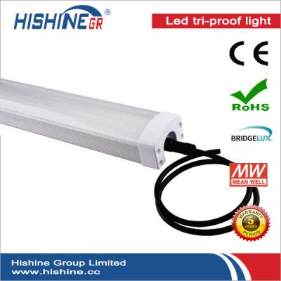 China Suspending 120Cm Retrofit LED Tri Proof Light Fixture For Supermarket for sale