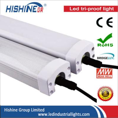 China Rohr-Fabrik-Dampf-Beweis LED 4800Lm 1200mm LED beleuchtet wasserdichtes 300K - 6500K zu verkaufen