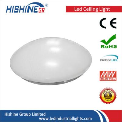 China Warm White Factory Round LED Ceiling Light Outdoor High Cost Performance for sale