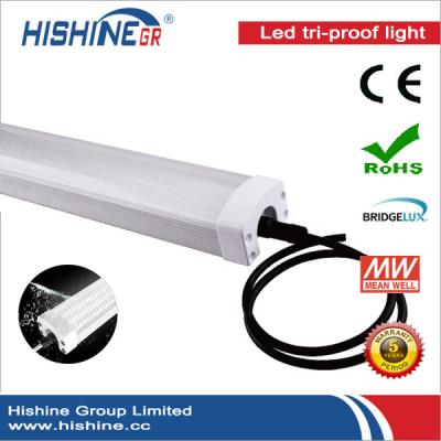 China Workshop LED Tri-Proof Light Connectable CE RoHS ETL Approved for sale