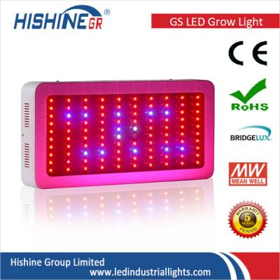 China Epistar 300w Hydroponic Led Plant Grow Lights For Vegetables Flowers for sale