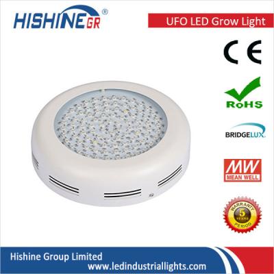 China a planta 90w conduzida Vegetational cresce UFO do espectro completo das luzes o mini dado forma à venda