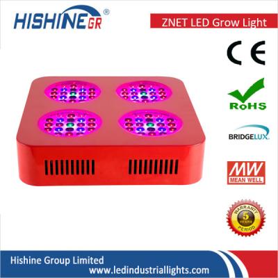 China 500w White Orange Red Blue Garden Grow Lights / Greenhouse Grow Lamps For Indoor Plants for sale