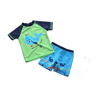 China Breathable Baby Toddler Boys Two Piece Swimwear Set Shark Rash Guards Dolphins Swimwear Swimwear With Hat Kids Swimsuit UPF 50+ for sale