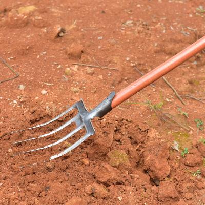 China Simply High Quality 4 Prong Steel Agricultural Garden Cultivating DIY Tools Garden Fork Fork Head for sale