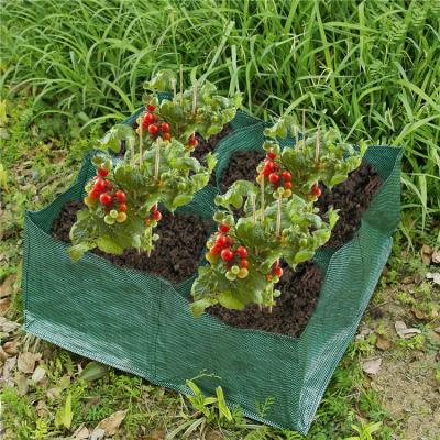 China Economical Amazon Nursery Planting Bag Top Plastic Durable Garden Planting Tools for sale