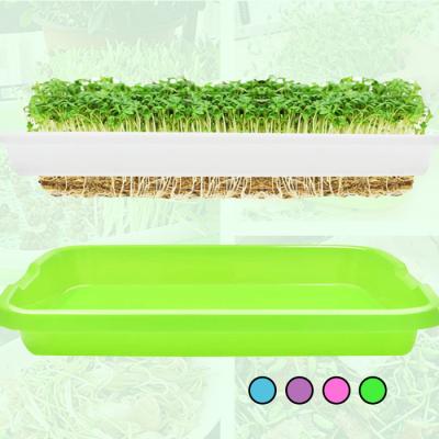 China Amazon Plastic Double-Layer Sprouting Tray Nursery Tray Flower Pot Planter Home Planting Tool for sale