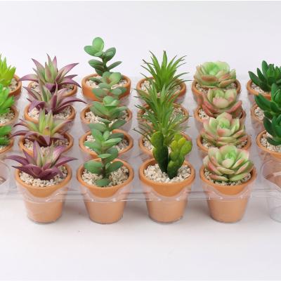 China Mini modern artificial jade table living room decoration plant artificial succulent plant with flower pot decoration for sale