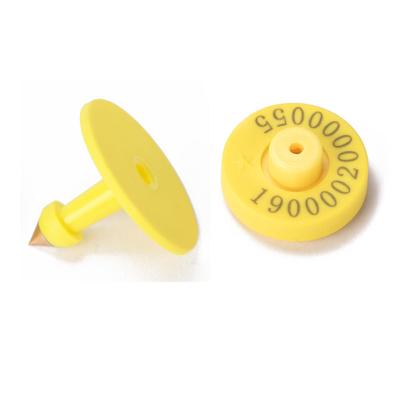 China Hot sale farm RFID low frequency ear tag animal tracking management, for pig/cattle/cow identification tracking etc. for sale