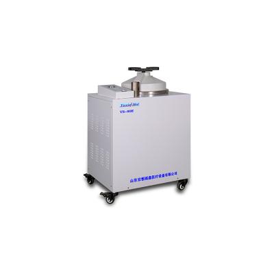 China food & VS-80E Multifunctional Vertical Autoclave Steam Sterilizer Machine Beverage Shop Fully Automatic for sale