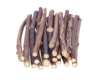 China Natural Viable Hamster Teeth Catnip Pet Cat Molar Stick Rodents Chew Cleaning Toy for sale