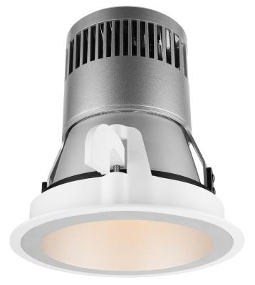 China IP20 High Efficiency Wall Wash Landscape Lighting Fixed Downlight 1500lm Brush / Varnished for sale