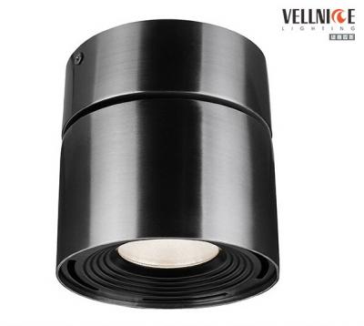 China 14Watt Brushed Outdoor LED Ceiling Lights With High Waterproof IP44 1050lm for sale