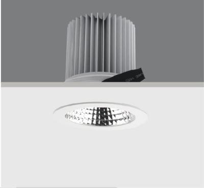 Cina L'alto potere fisso LED ha messo la PANNOCCHIA IP20 del CITTADINO di Downlight 40W per l'alluminio di Pured dell'ingresso dell'hotel in vendita