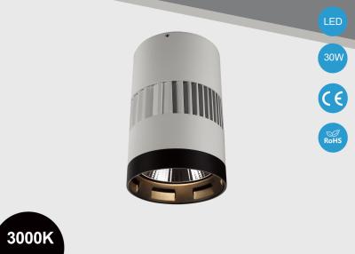 Cina il soffitto 30W installa 30W sorge il LED montato Downlight, luce del cilindro del LED con la PANNOCCHIA in vendita