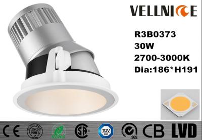 China 30W la pista ajustable del hotel LED Dimmable LED se enciende para IP20 de iluminación interior Dia.186 * H191 milímetro/R3B0373 en venta