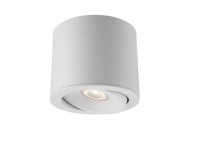 China a montagem de superfície exterior impermeável Tiltable de 7W IP54 30 ilumina o ângulo 24°Bean à venda