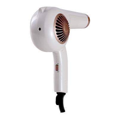 China Factory Custom Hair Blow Dryer One Stage Hair Dryer Foldable And Negative Ion Styler Quick Drying Care Hair Dryer for sale