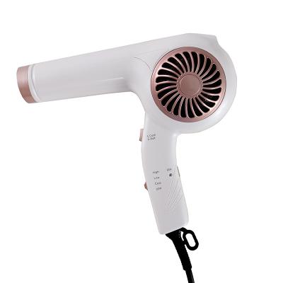 China OEM ODM Ion Quick Drying Hair Care Foldable Negative Electric Hair Dryer 1200W High Power Professional Salon for sale