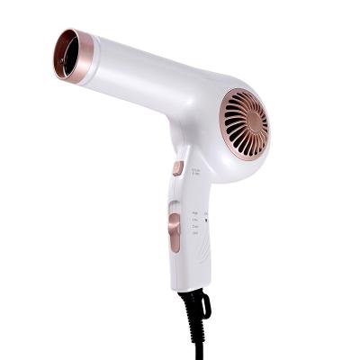 China Professional Salon Hair Care Custom Quick Drying Electric Hair Dryer Foldable 1200W Negative Ion Hair Dryer for sale