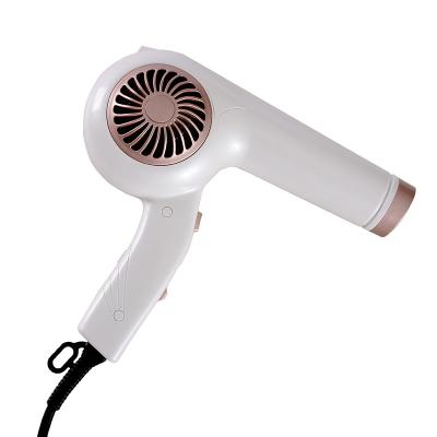 China Factory Supply Professional Salon Professional Hair Dryer 1200W Blow Dryer Negative Ionic Fast Drying Electric Blow Dryer for sale