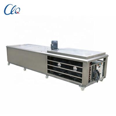 China Dairy factory full automatic 12 molds ice cream lolly popsicle machine price for sale